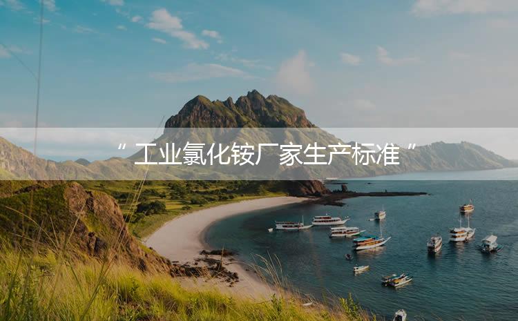 工業(yè)氯化銨廠家生產(chǎn)標(biāo)準(zhǔn)，生產(chǎn)過(guò)程進(jìn)行嚴(yán)密的監(jiān)控！