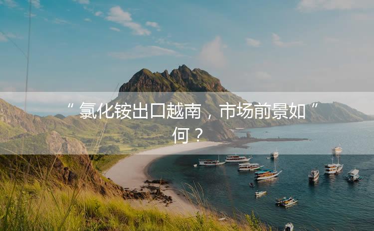 氯化銨出口越南，市場前景如何？